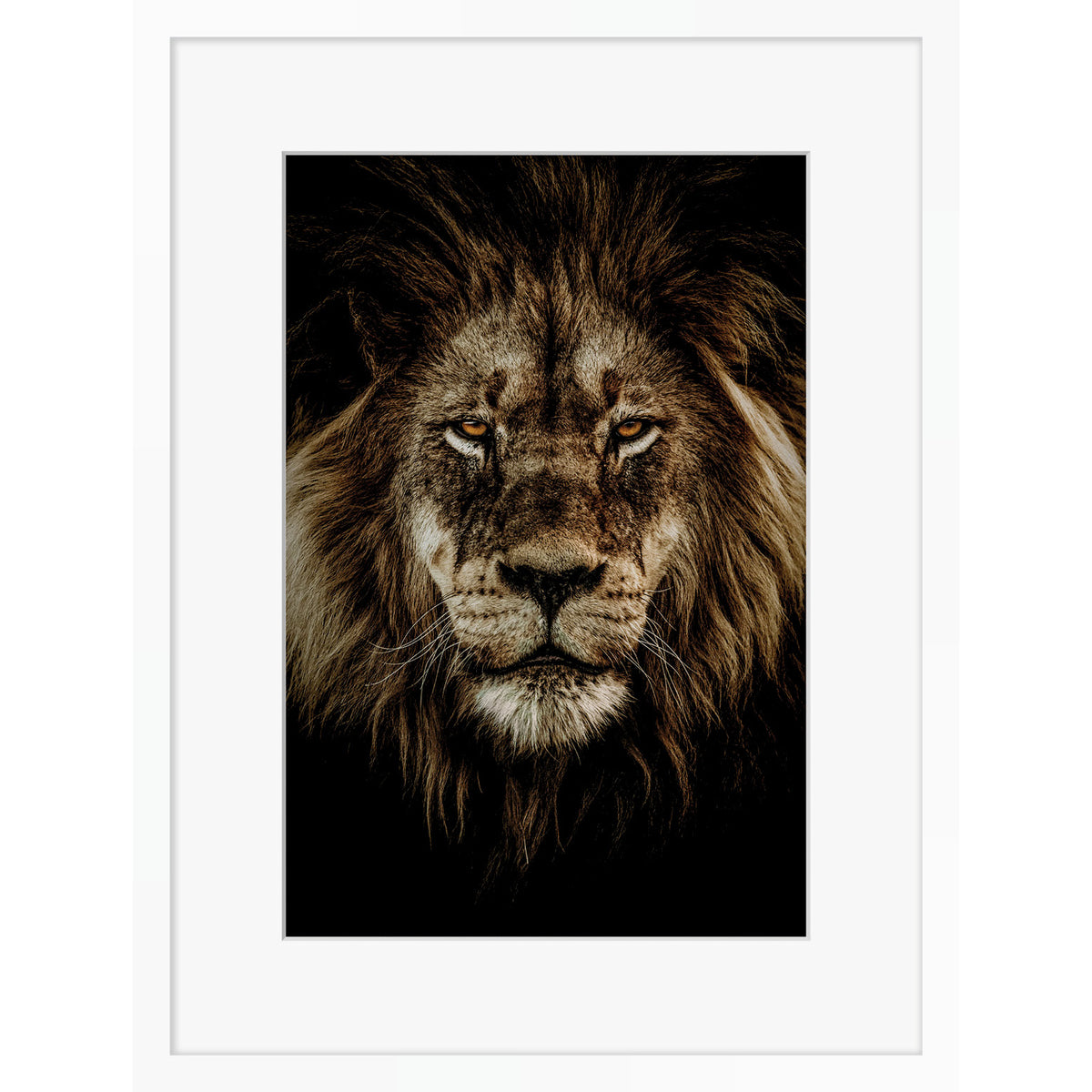 Wild Majesty