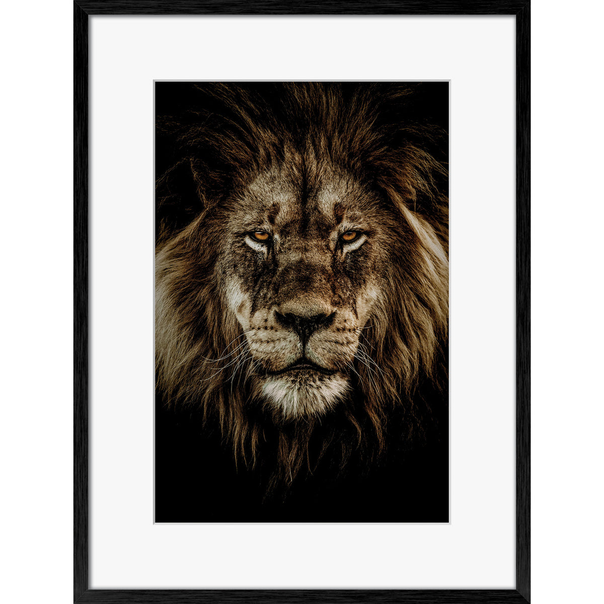 Wild Majesty