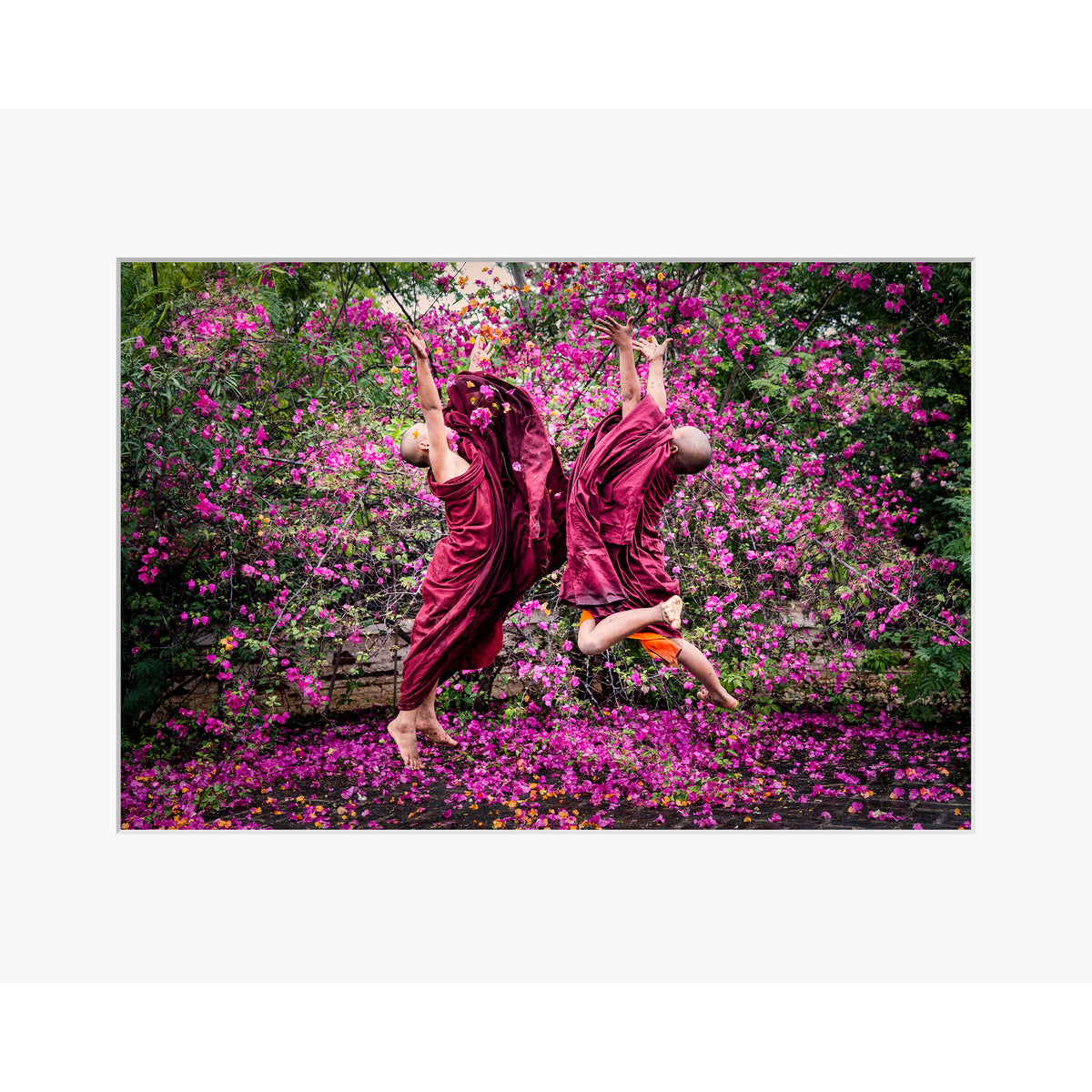 Bloom of Joy
