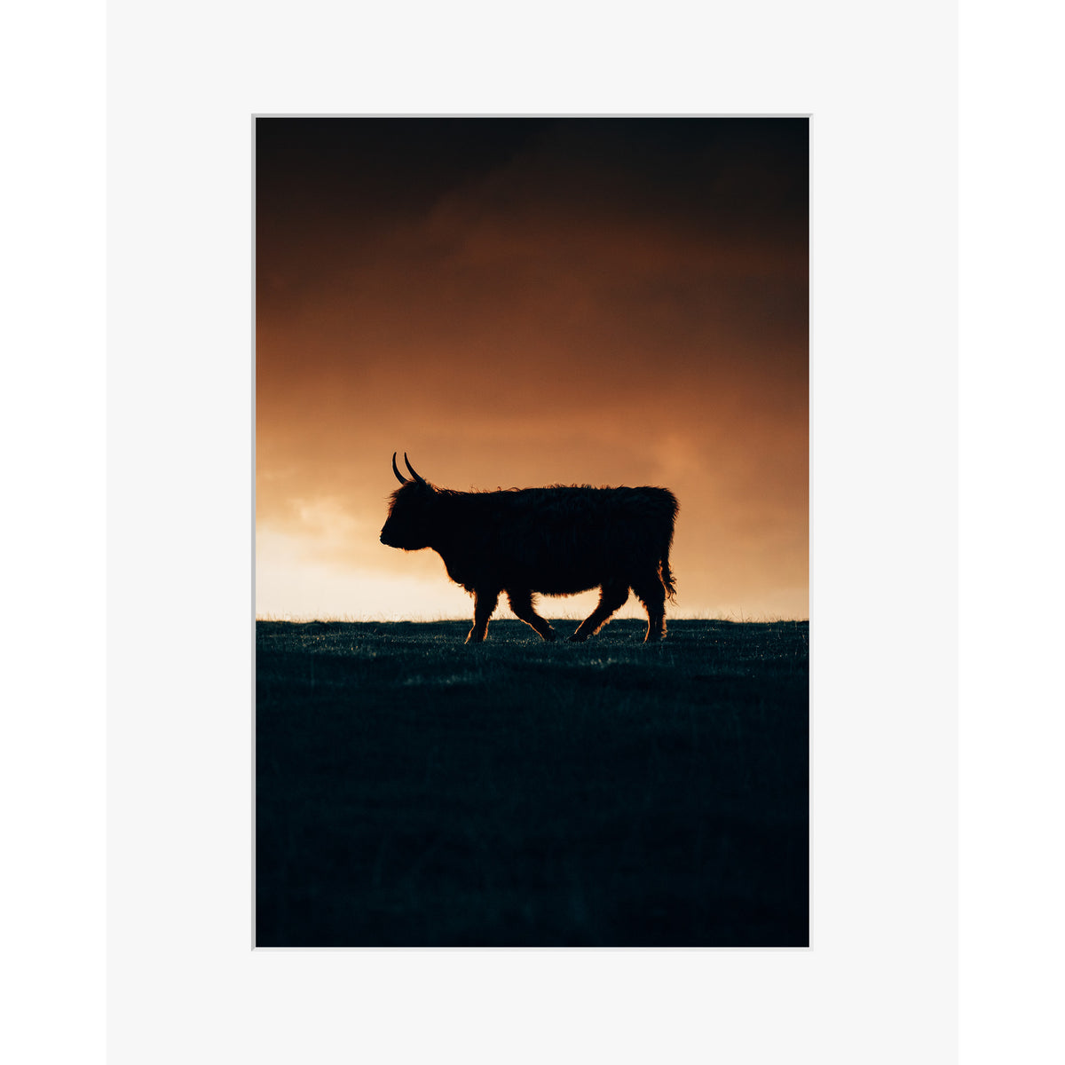 Born of Highlands