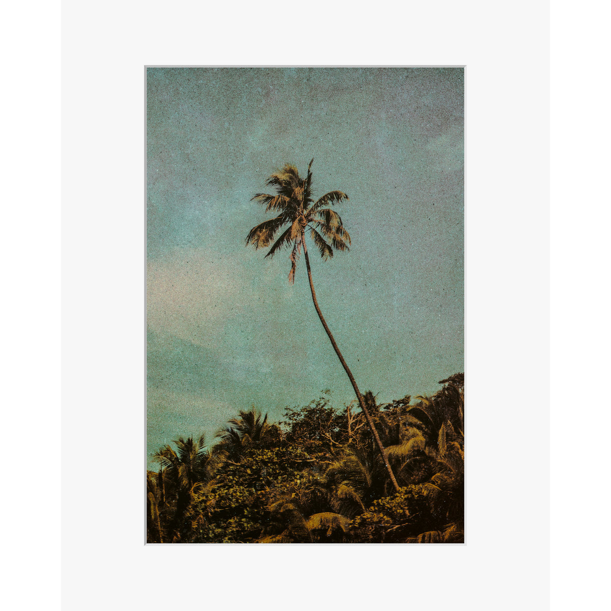 Coco Jungle