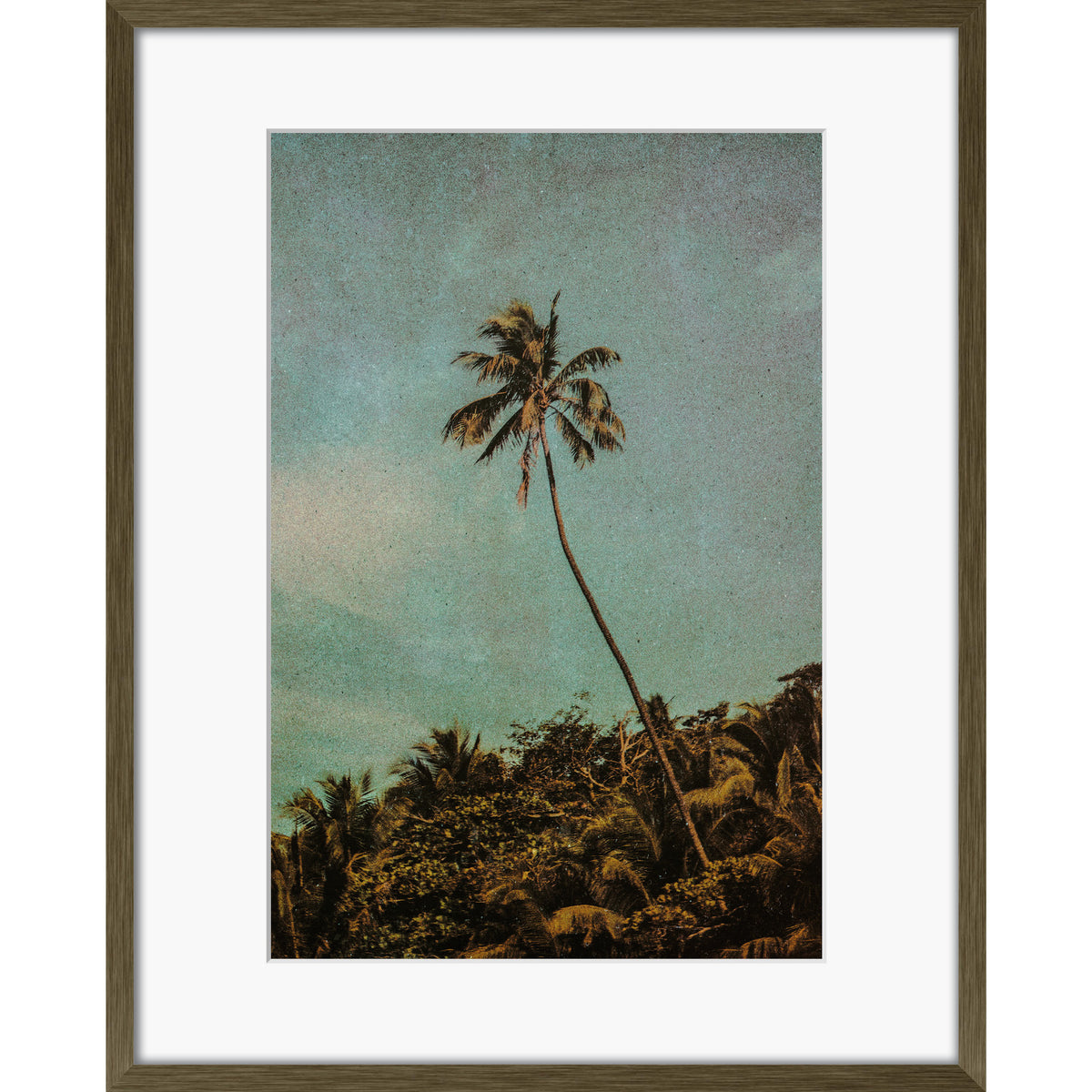Coco Jungle