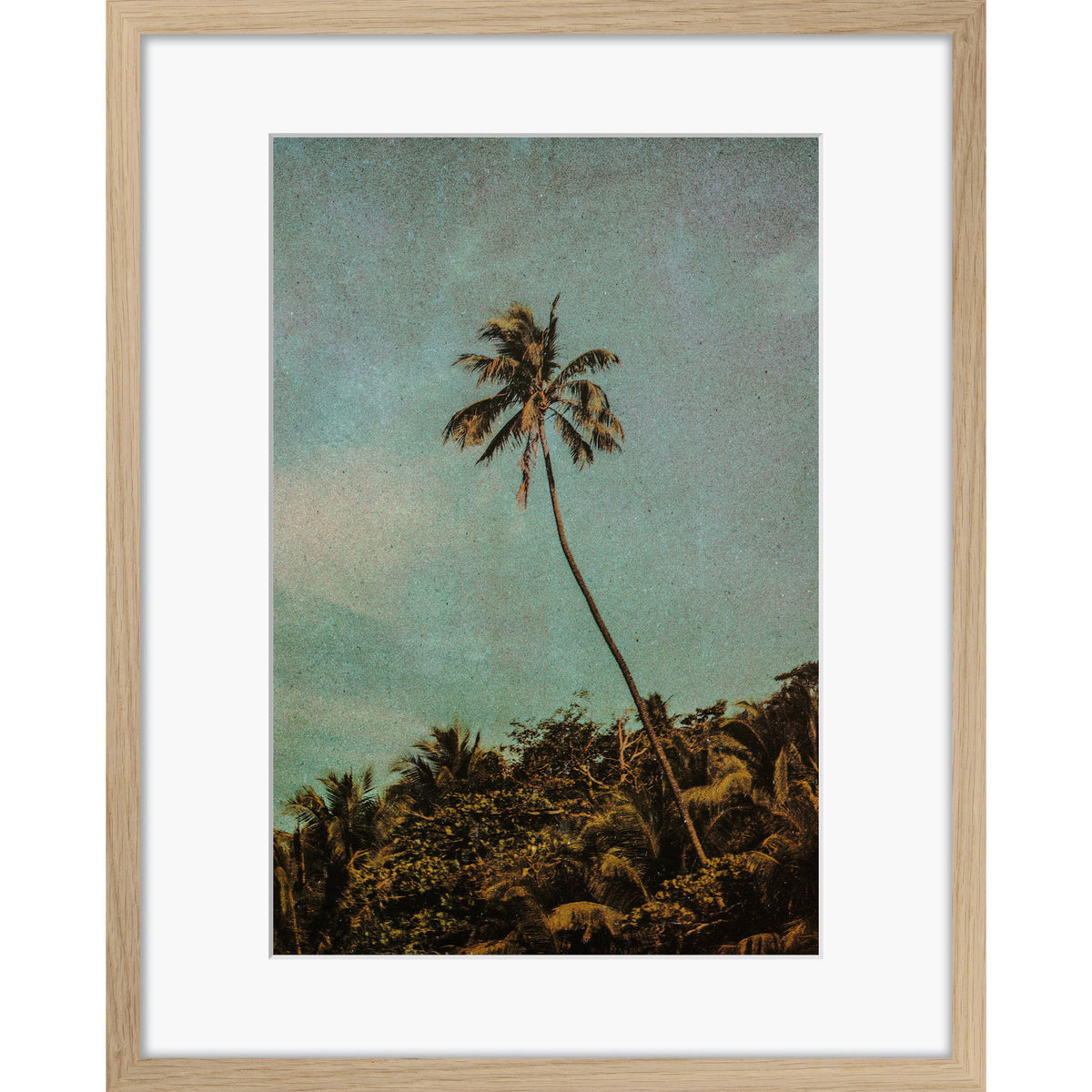 Coco Jungle