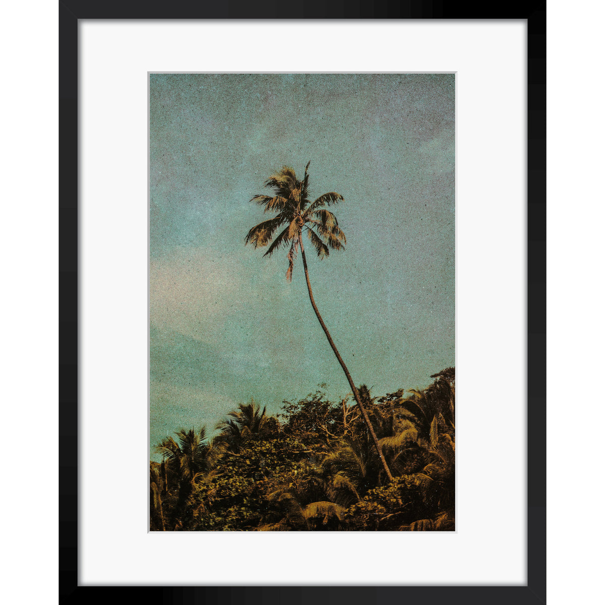 Coco Jungle