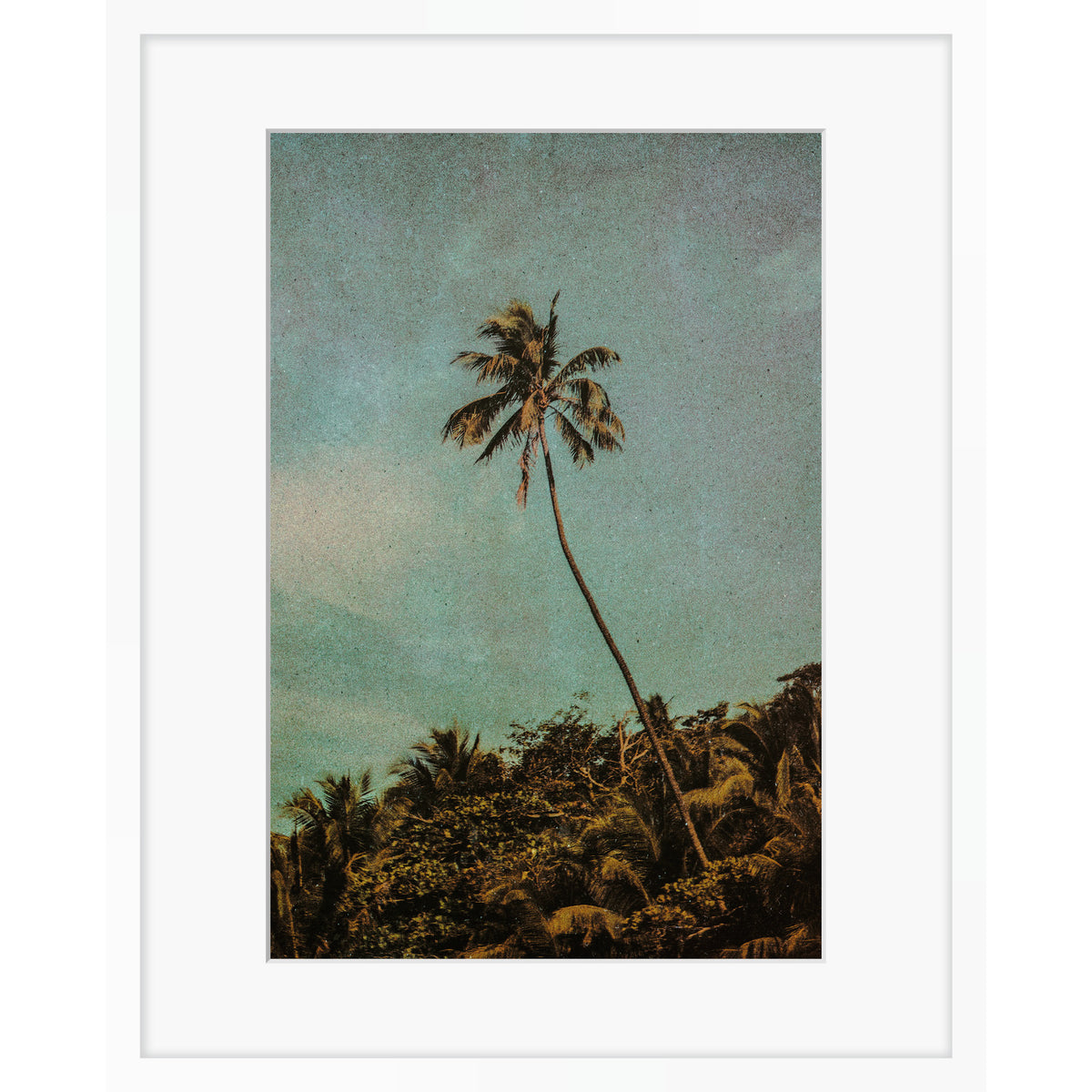 Coco Jungle