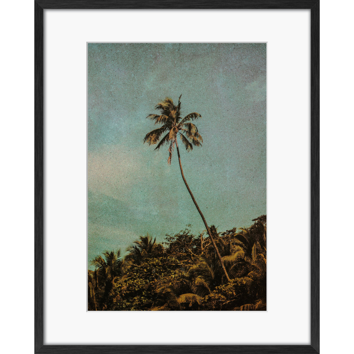 Coco Jungle