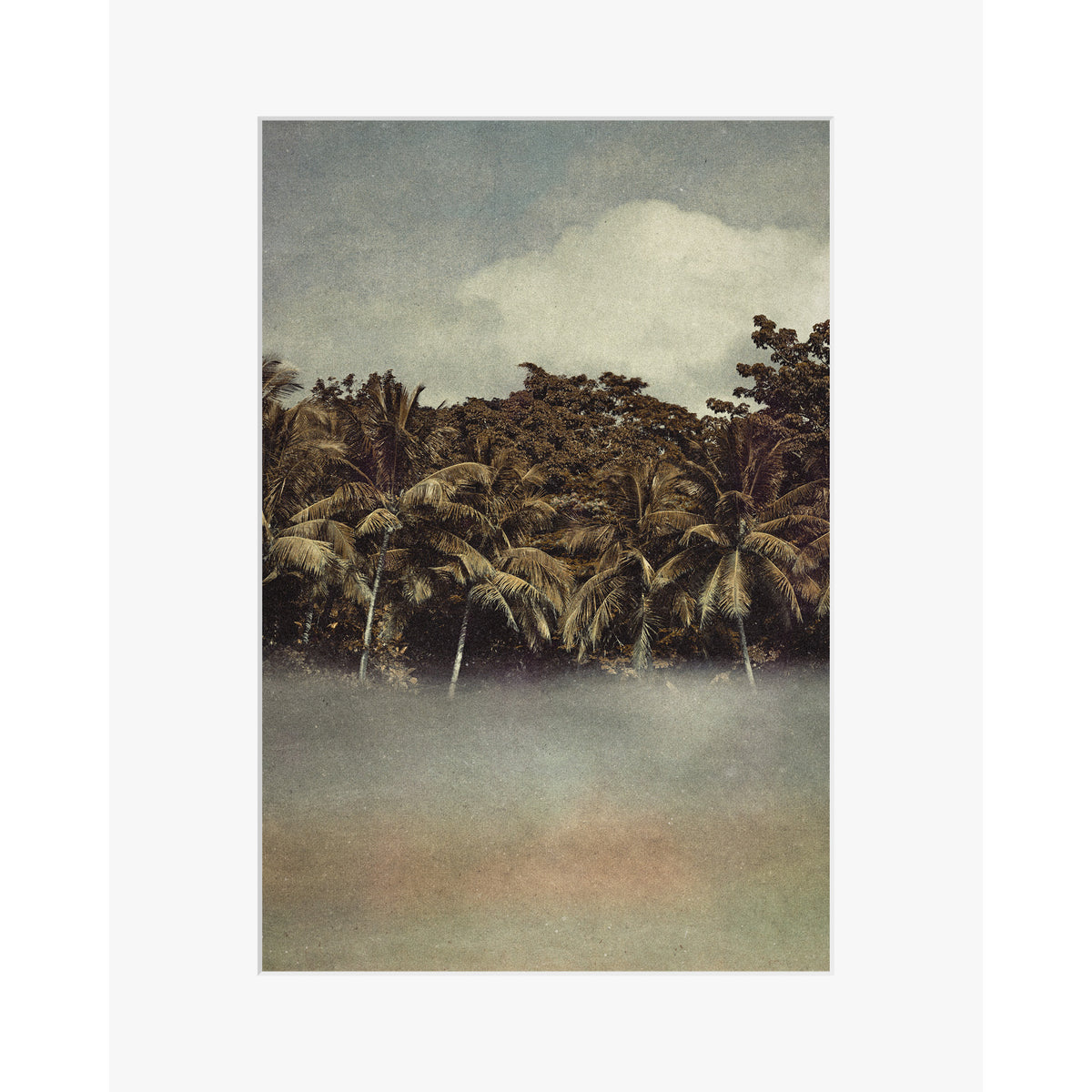 Coconut Dream