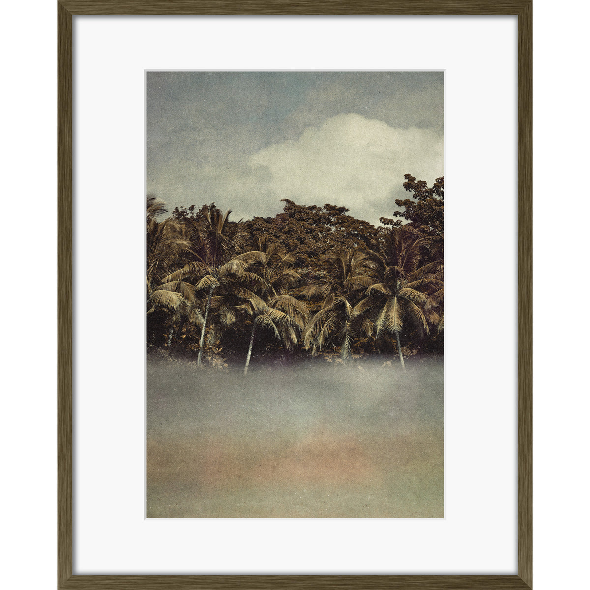 Coconut Dream