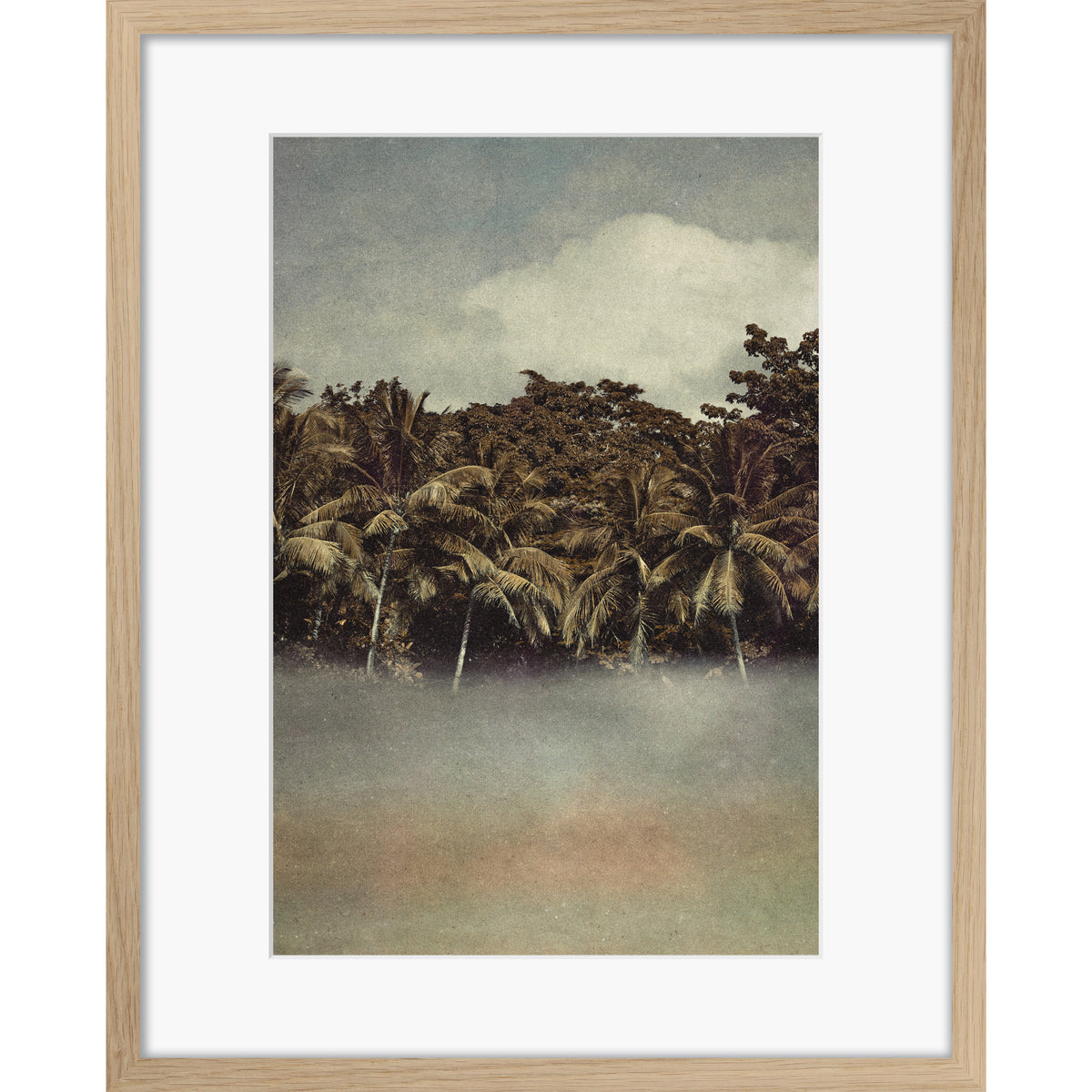 Coconut Dream