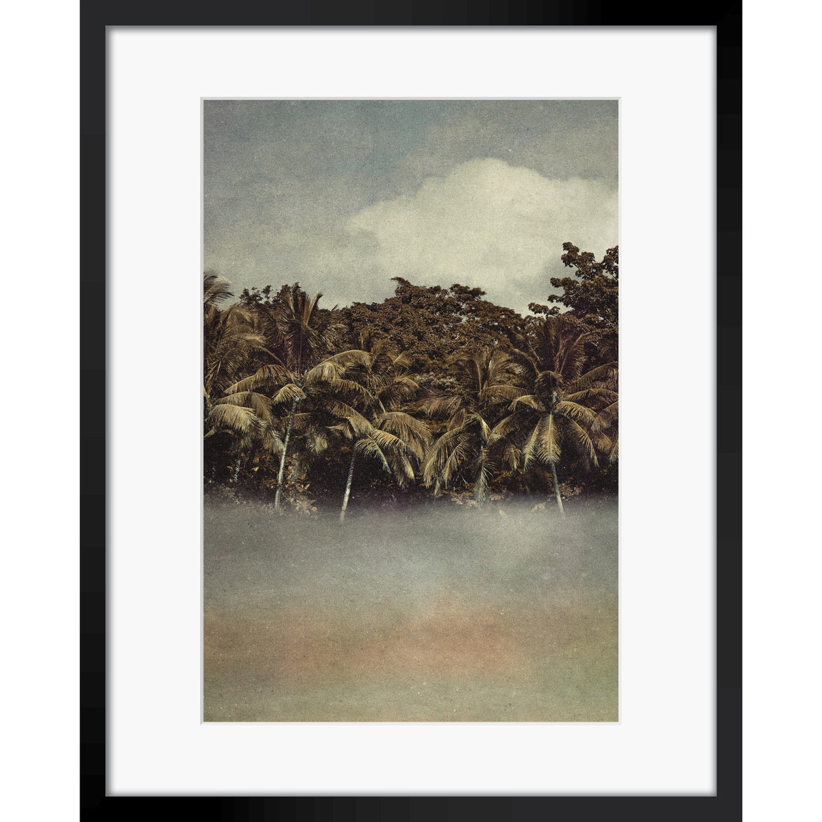 Coconut Dream