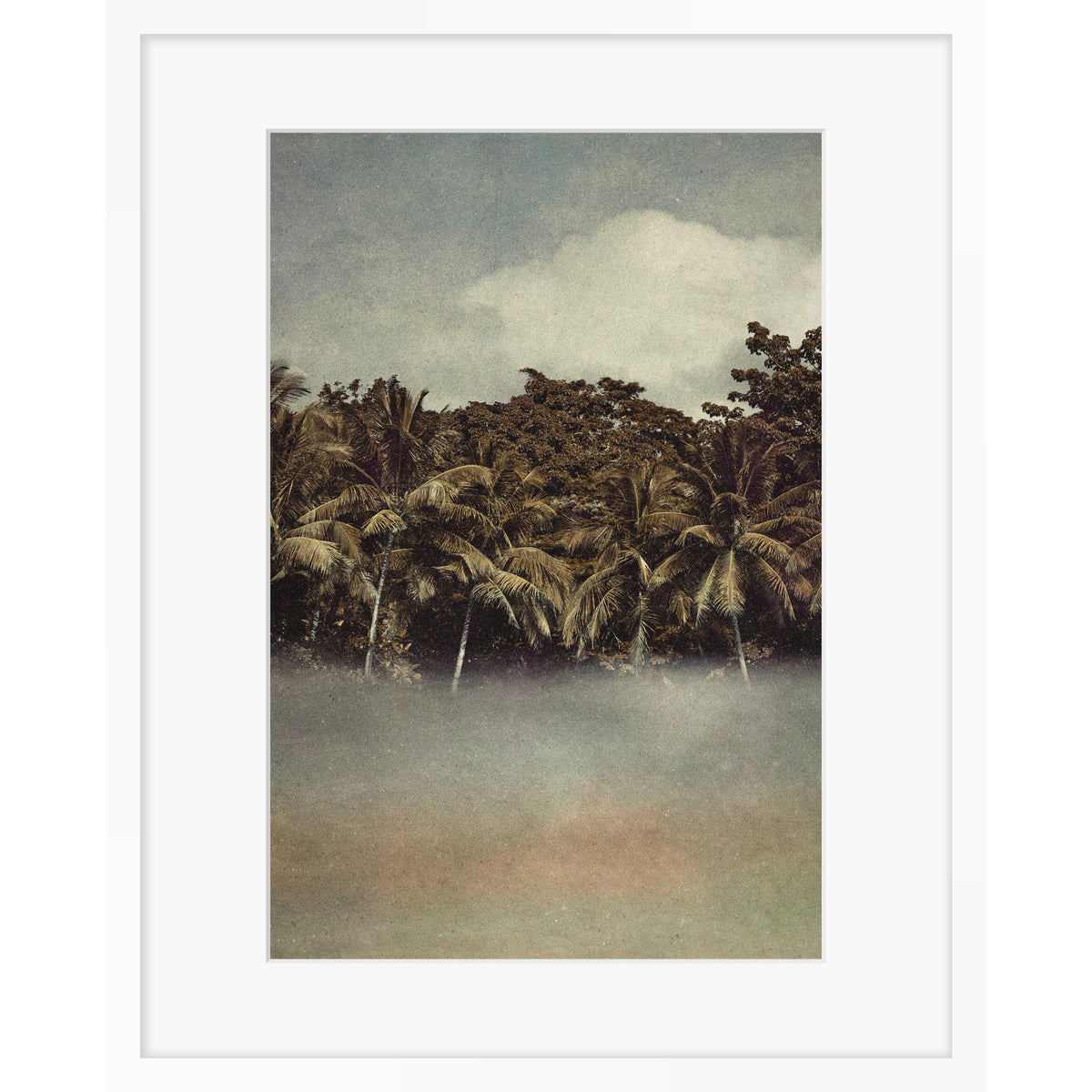 Coconut Dream