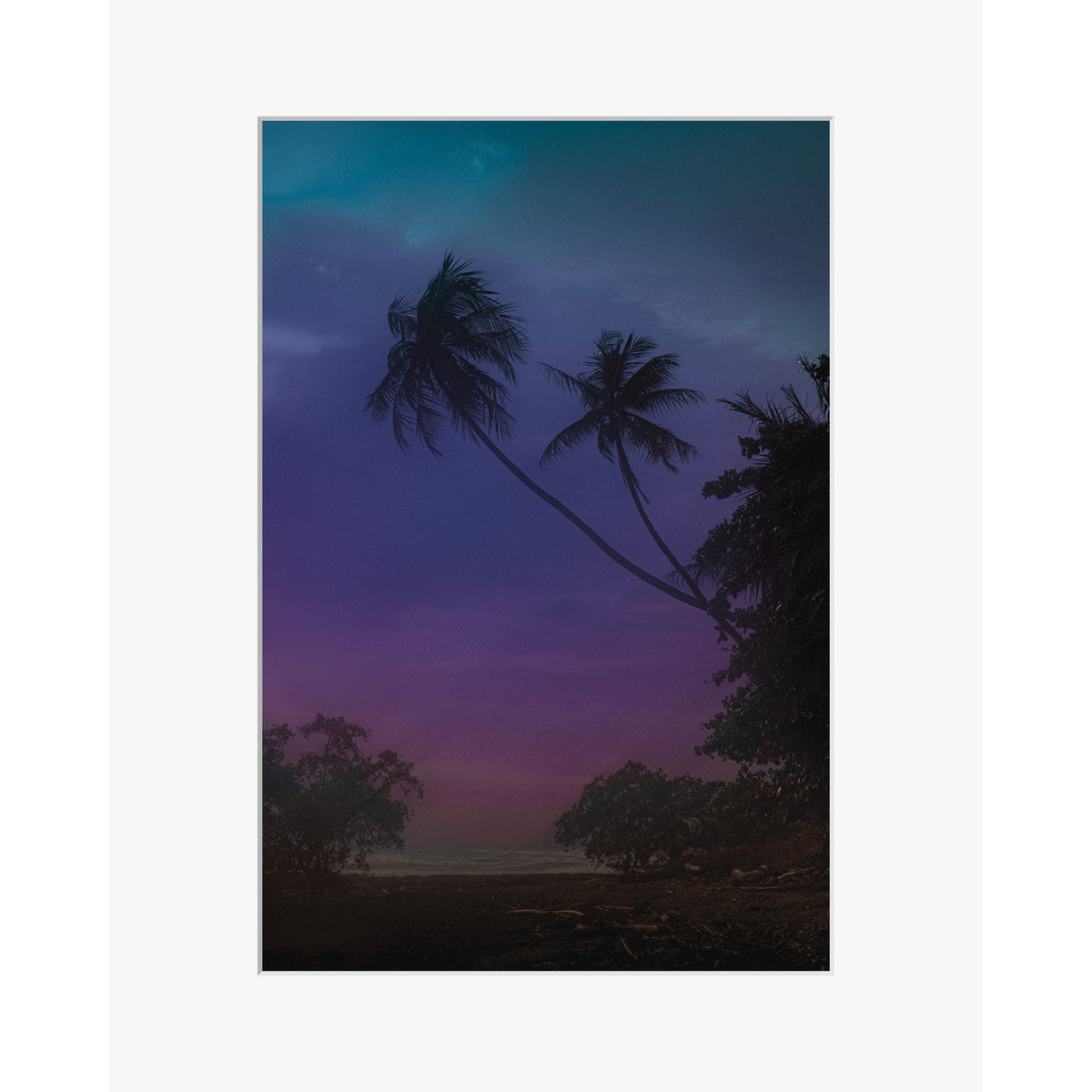 Jungle Shadows