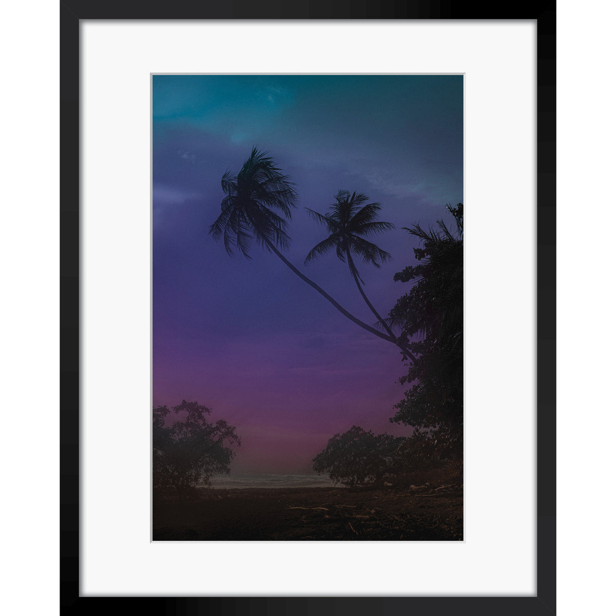 Jungle Shadows