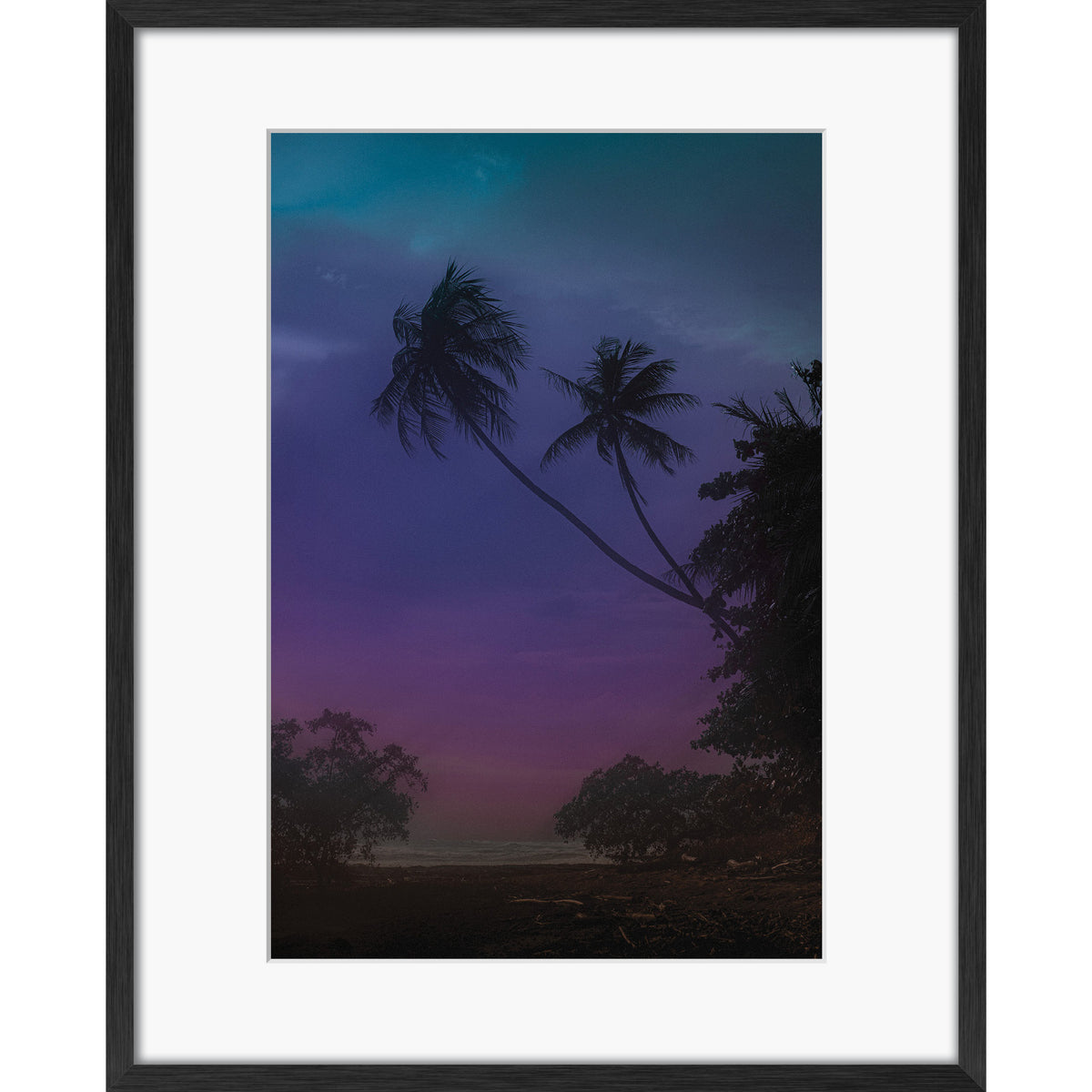 Jungle Shadows