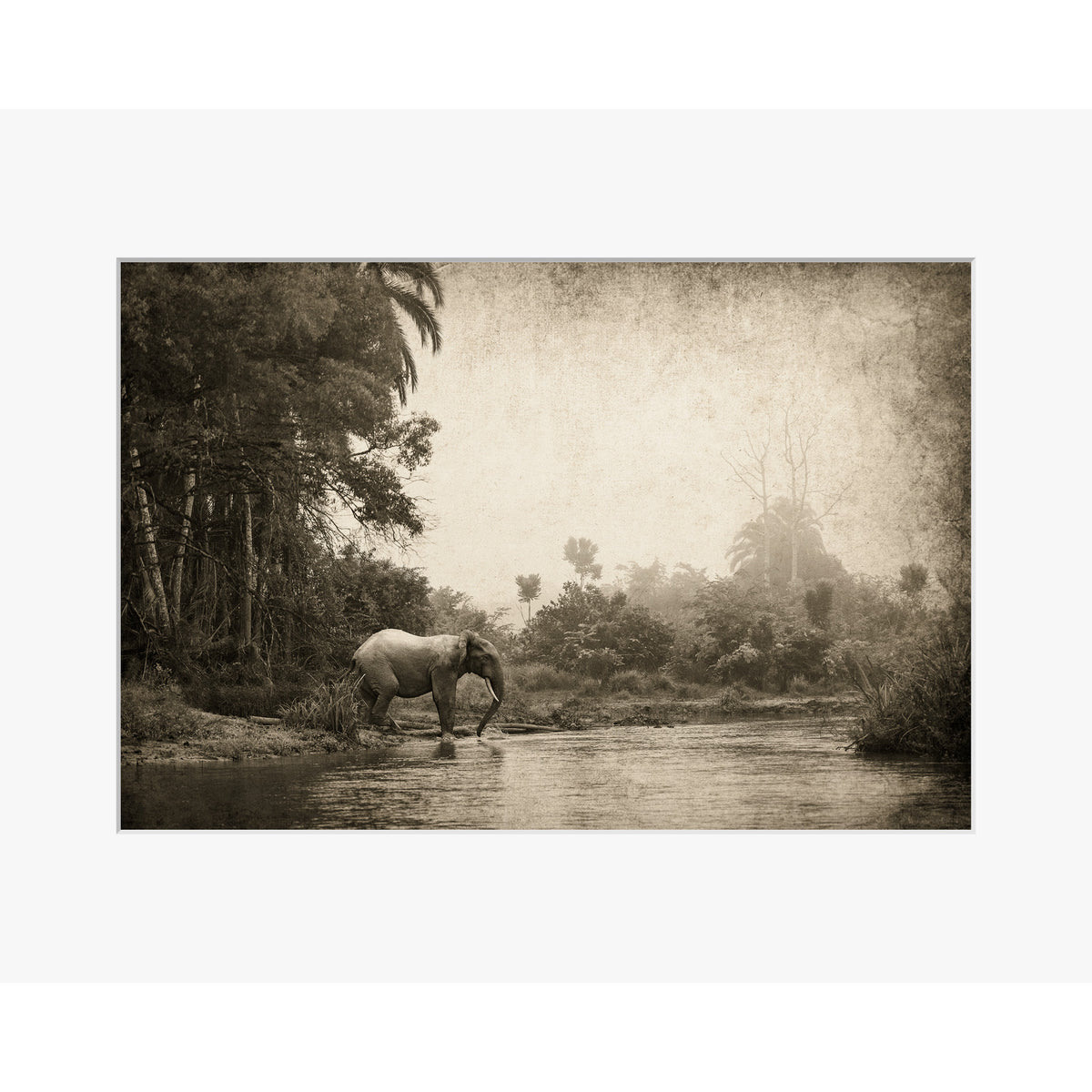 Congo - Crossing