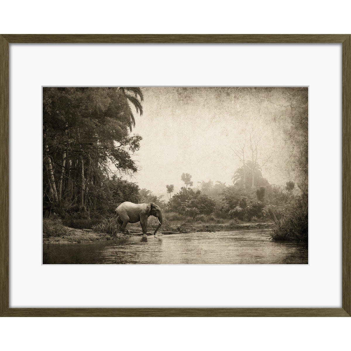 Congo - Crossing