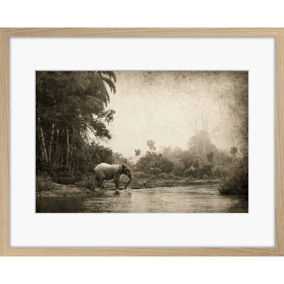 Congo - Crossing