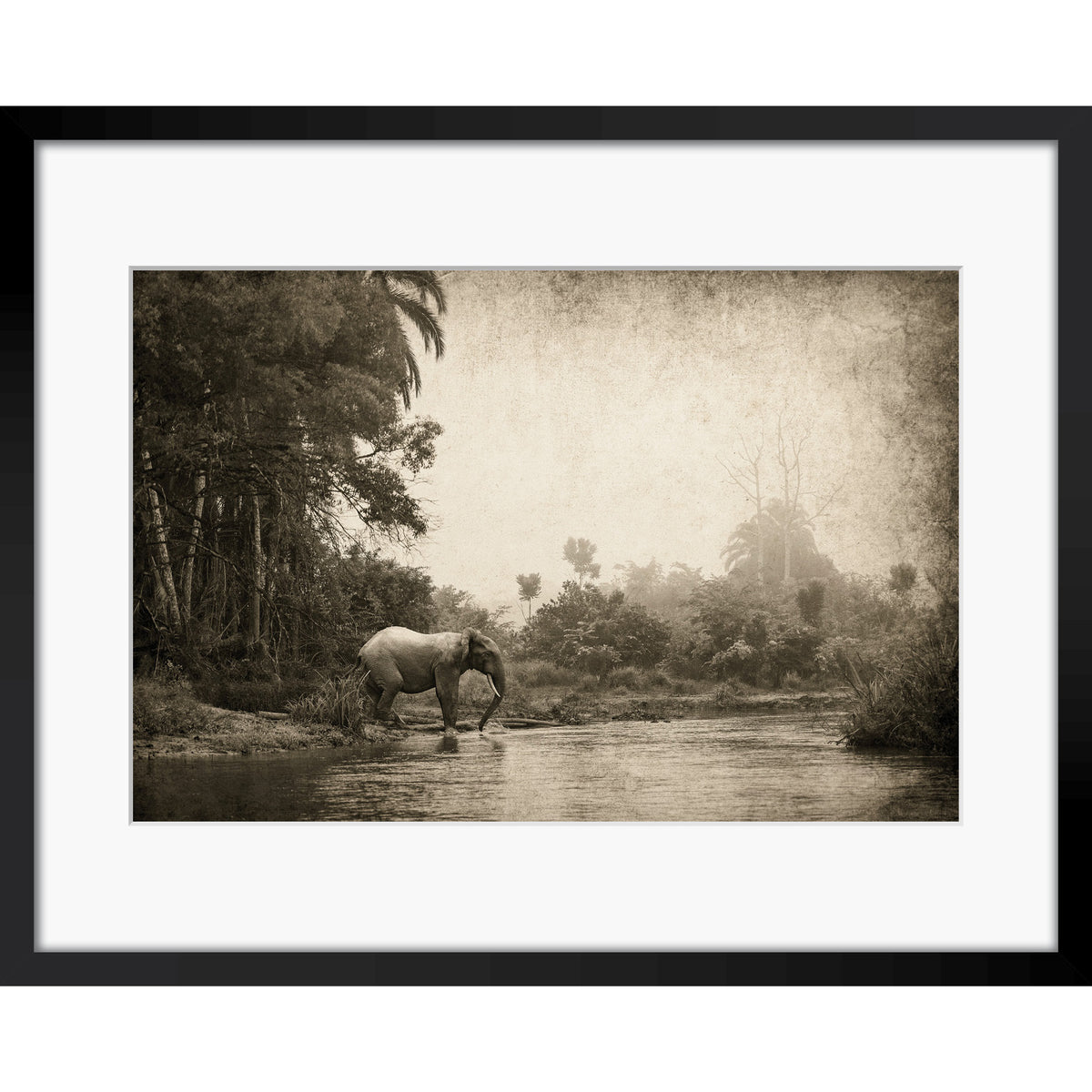 Congo - Crossing
