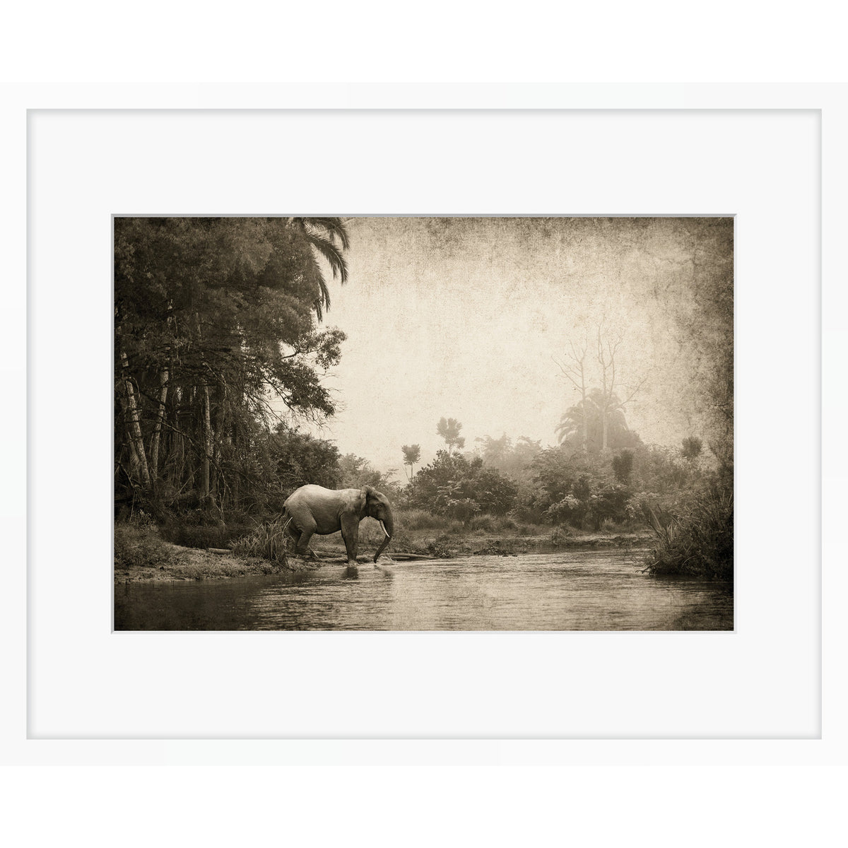 Congo - Crossing