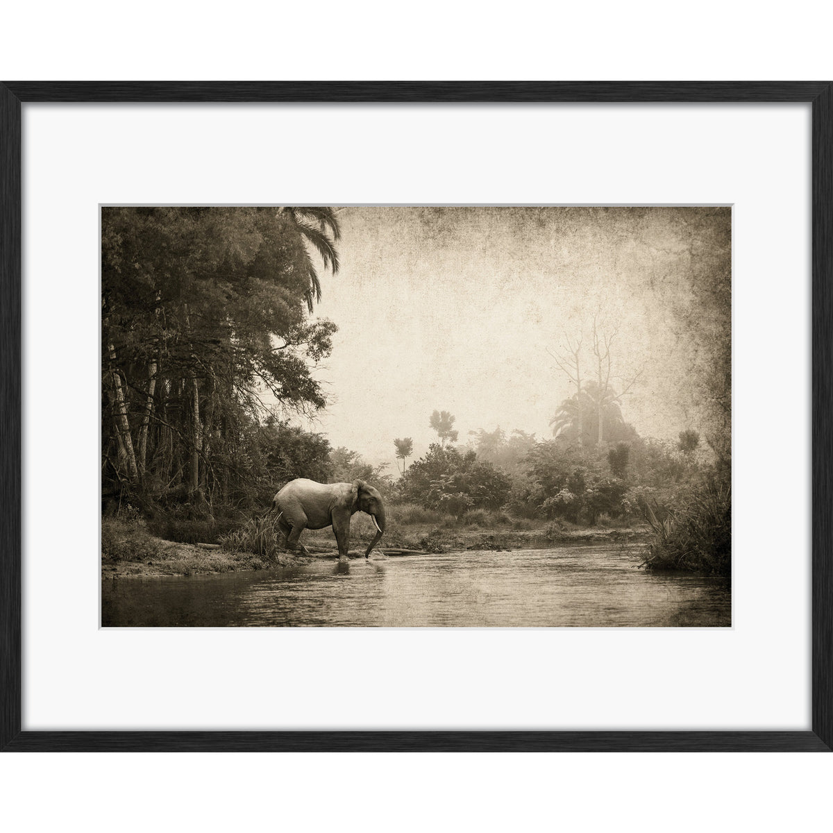 Congo - Crossing