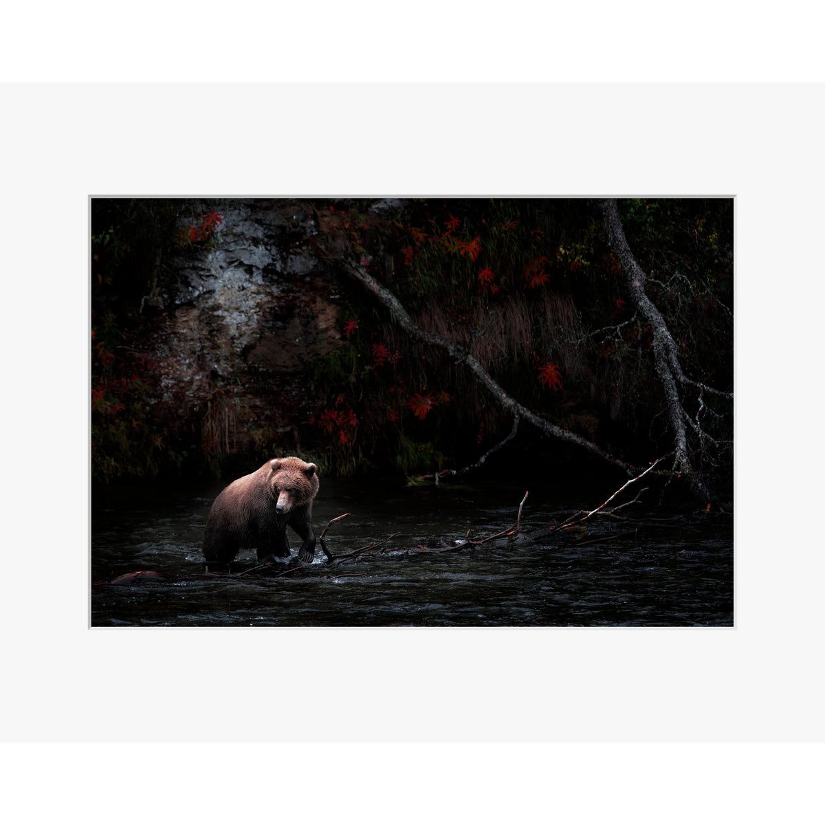 Dark Autumn