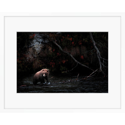 Dark Autumn