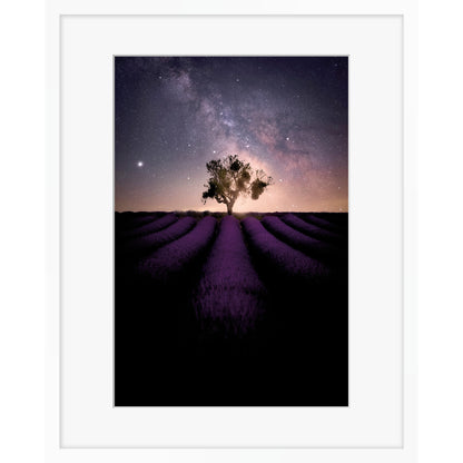 Lost in stars