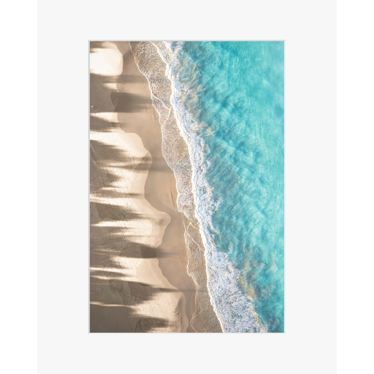 Paradise shadows
