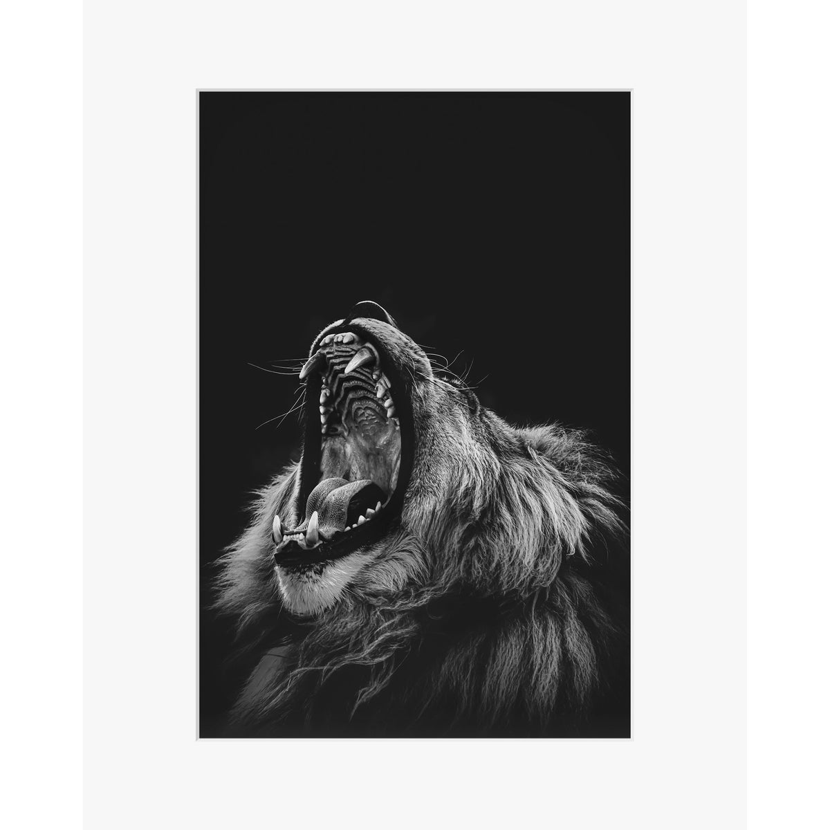 Roarrr