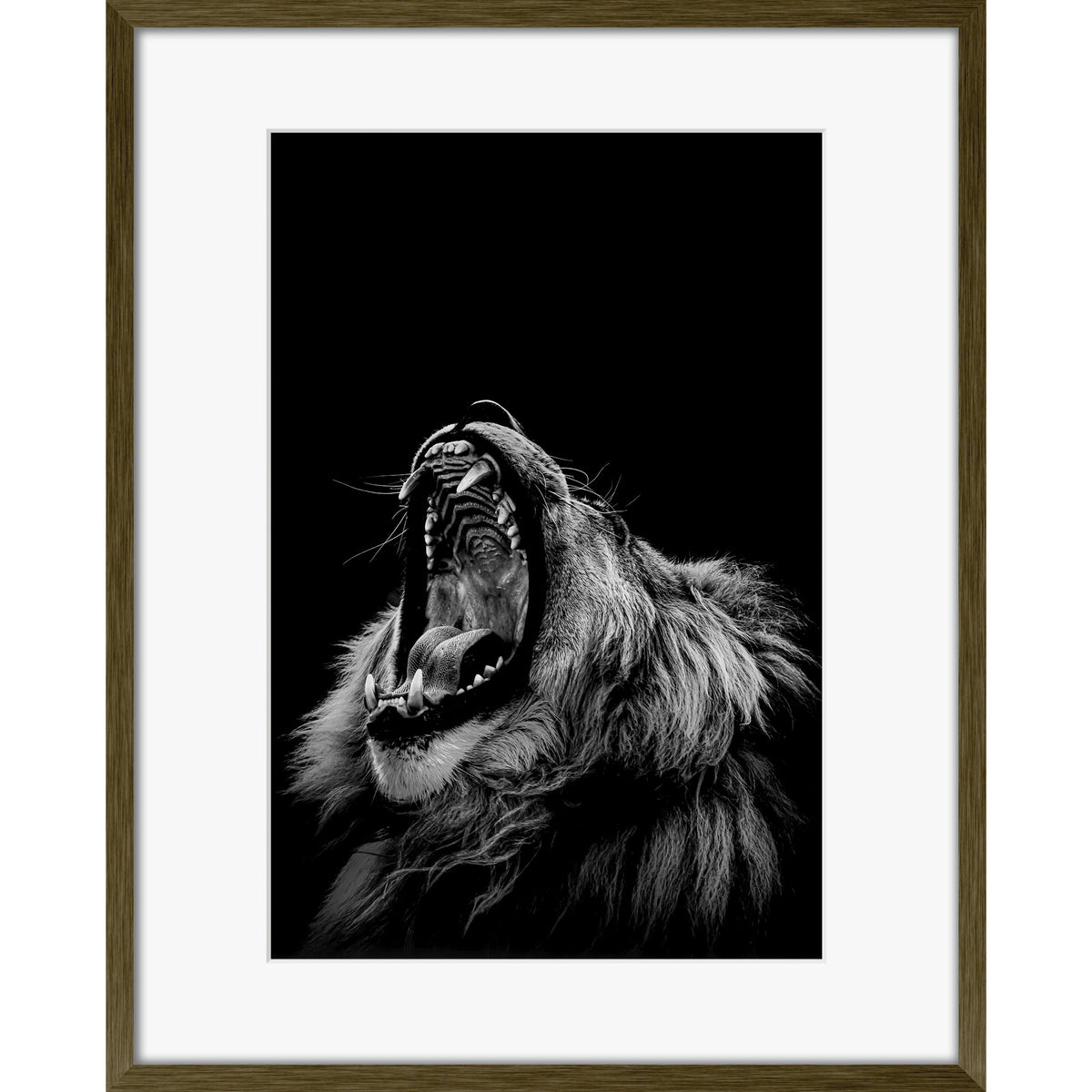 Roarrr