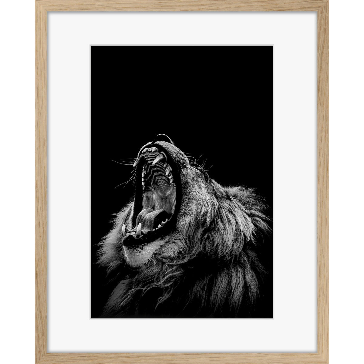 Roarrr