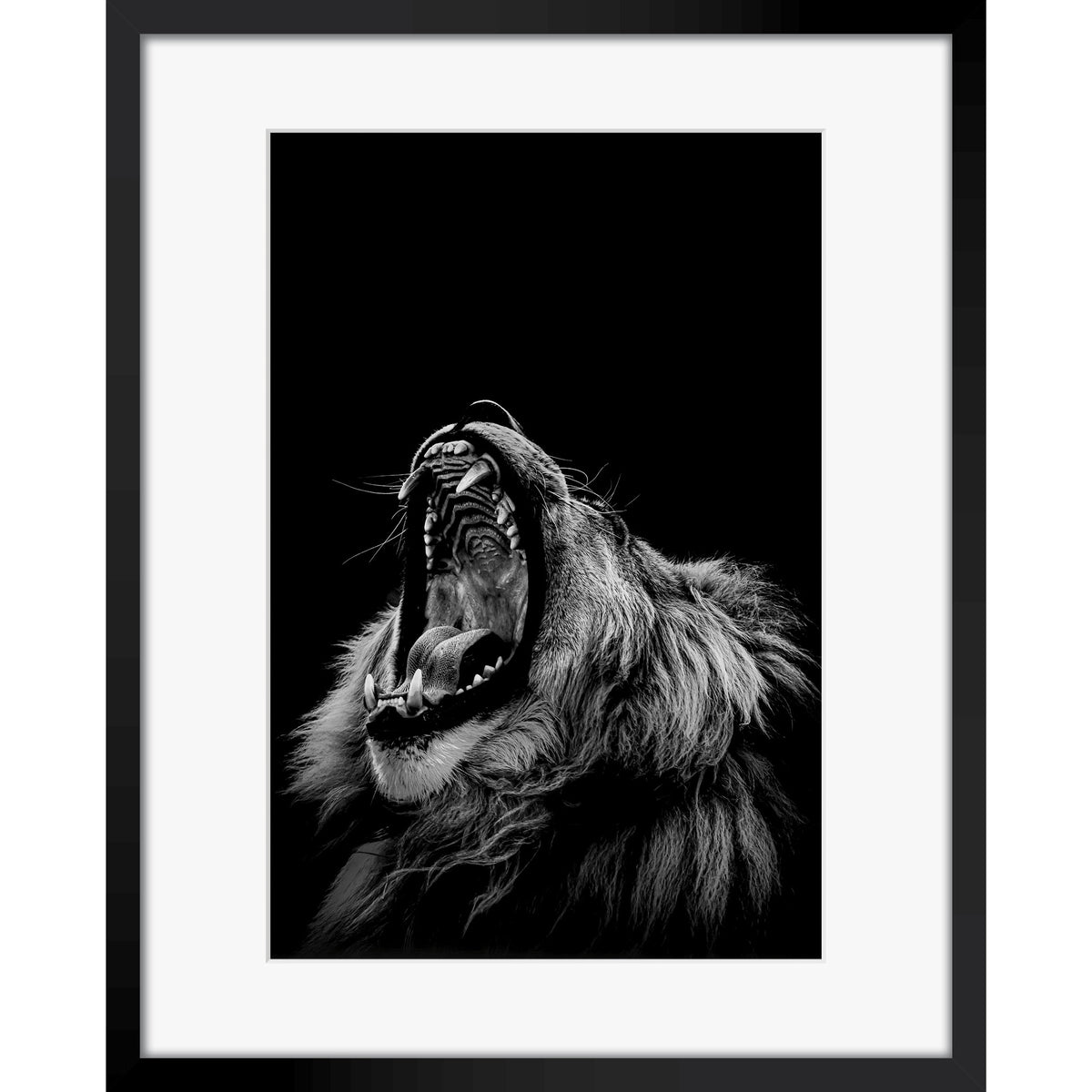 Roarrr