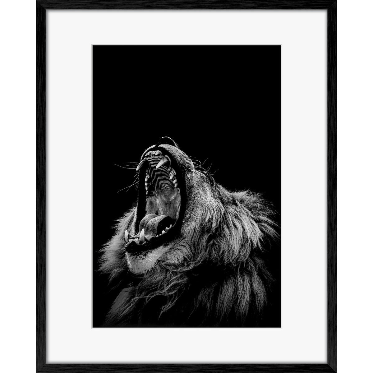 Roarrr