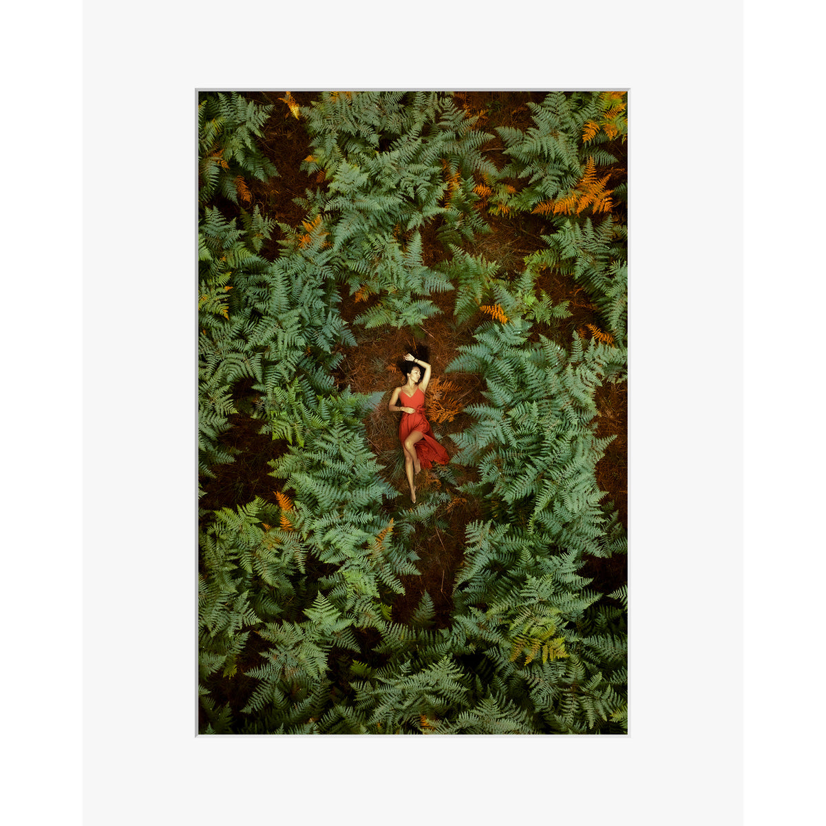 Secret Garden
