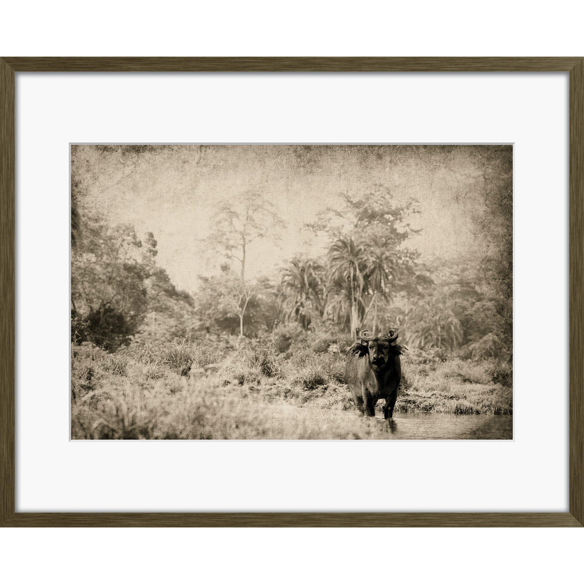 The Wanderer