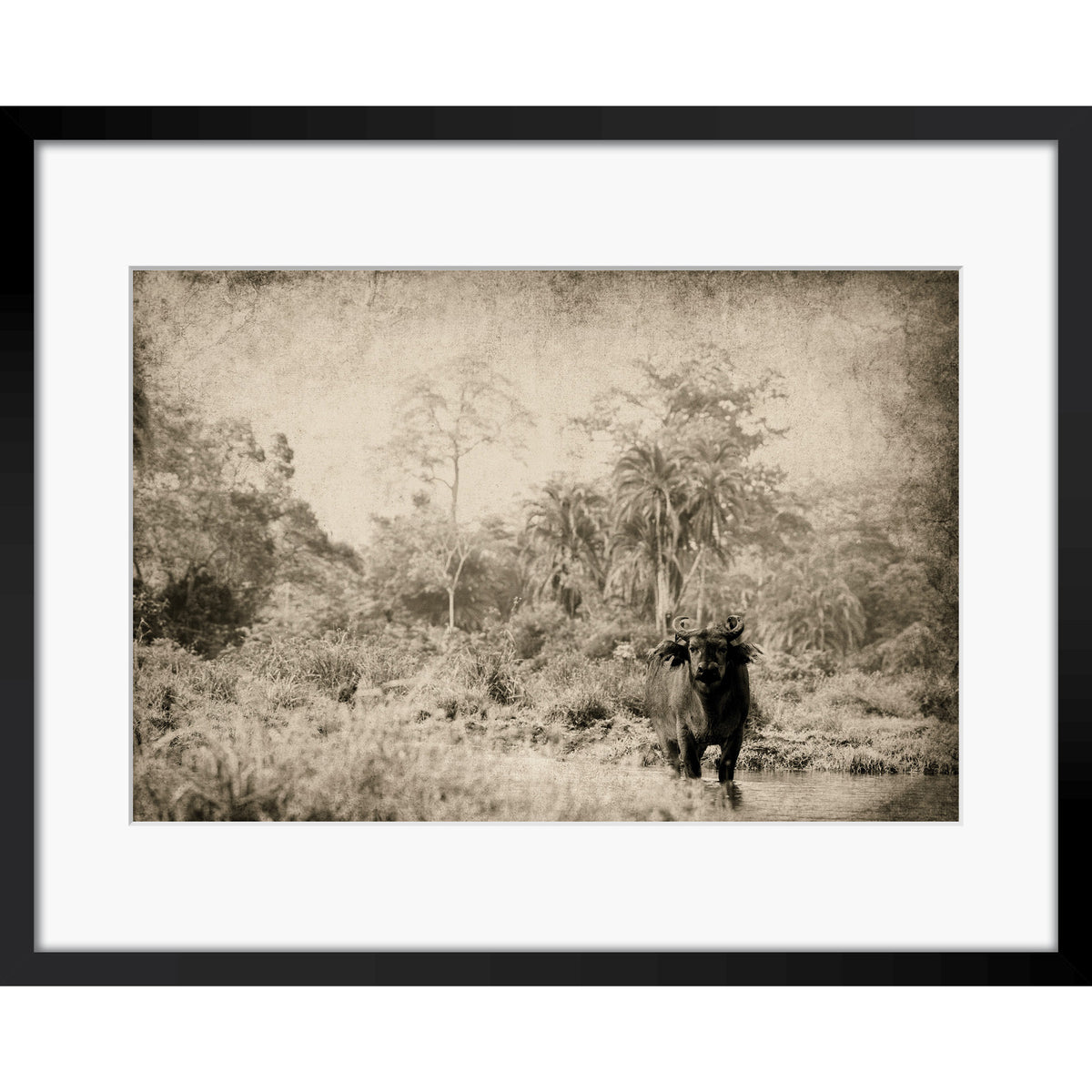 The Wanderer