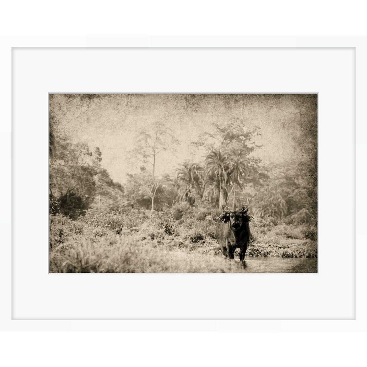 The Wanderer