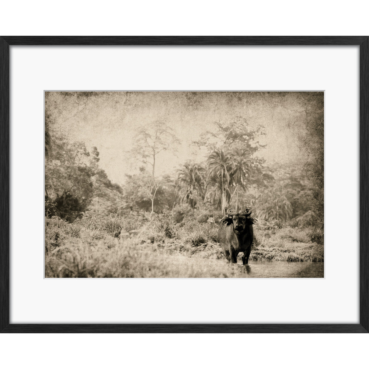 The Wanderer