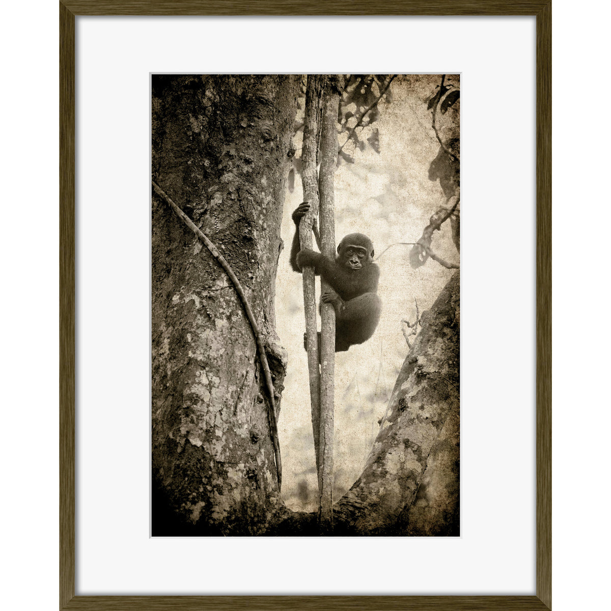 Tree Hugger