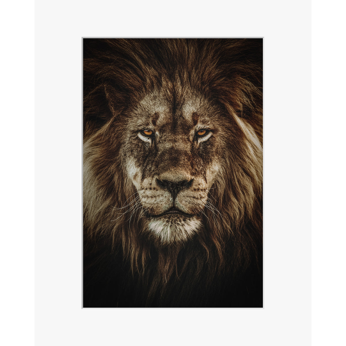 Wild Majesty