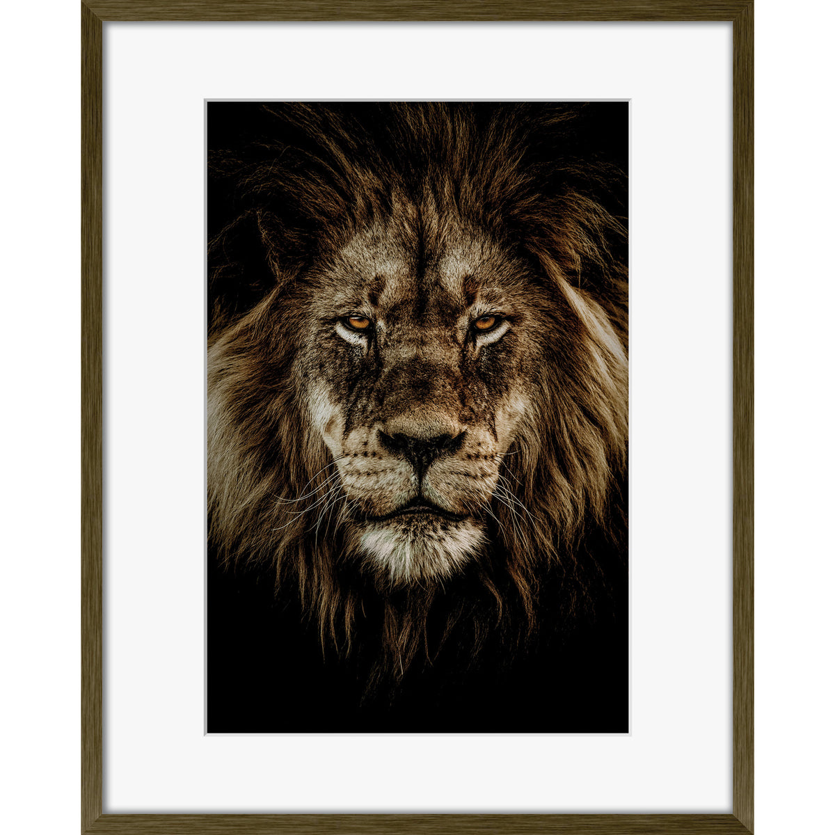 Wild Majesty