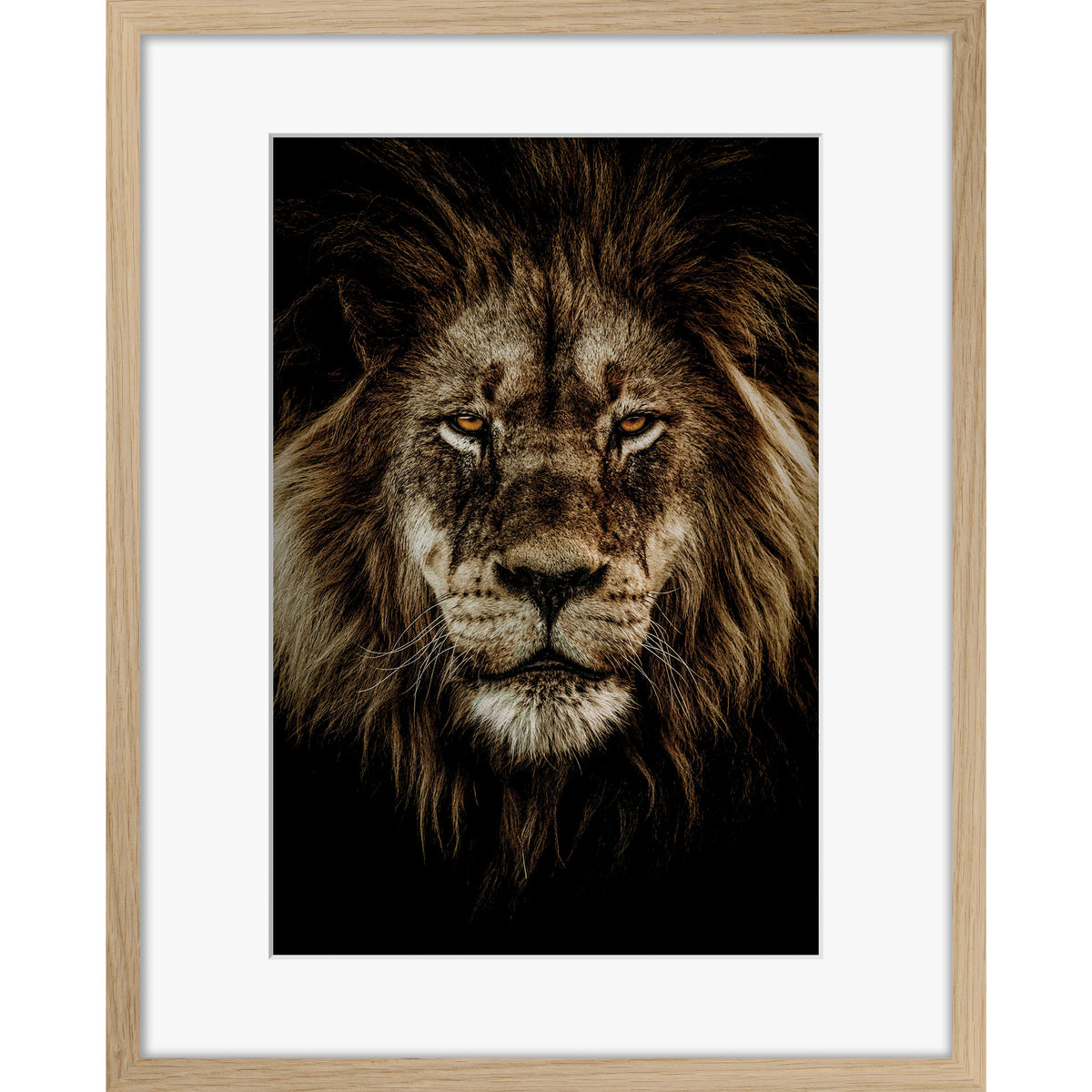 Wild Majesty