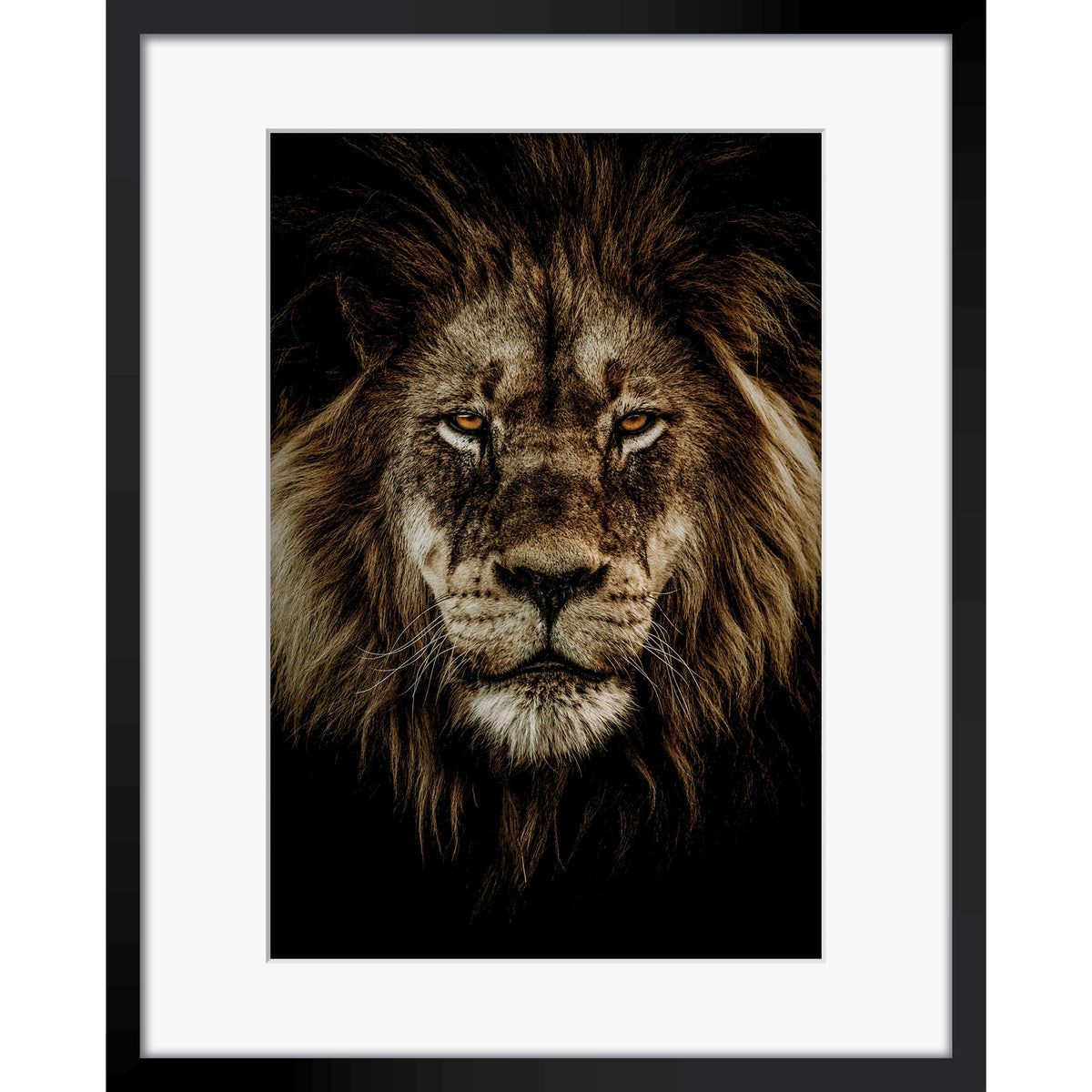 Wild Majesty
