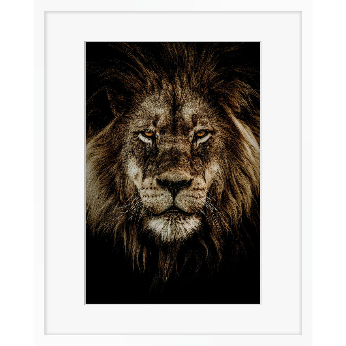 Wild Majesty