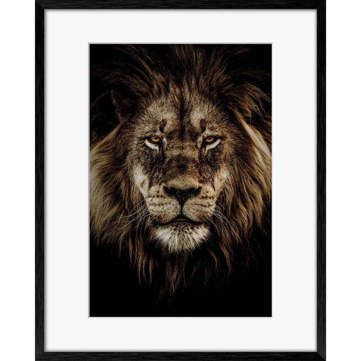 Wild Majesty