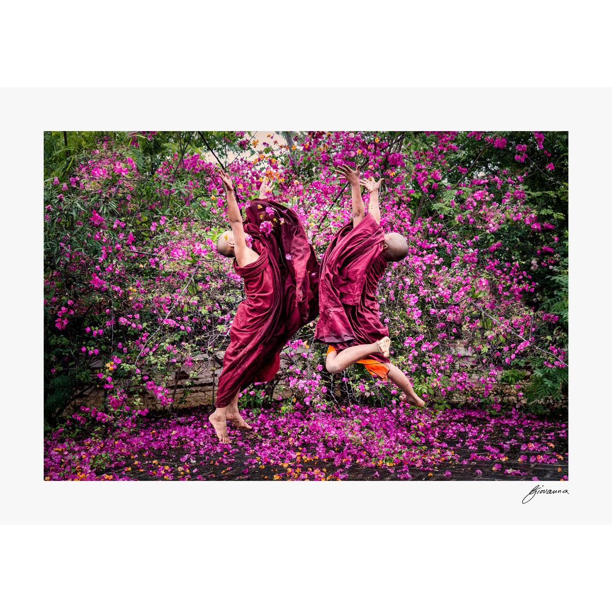 Bloom of Joy