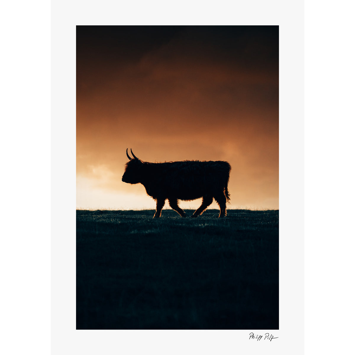 Born of Highlands