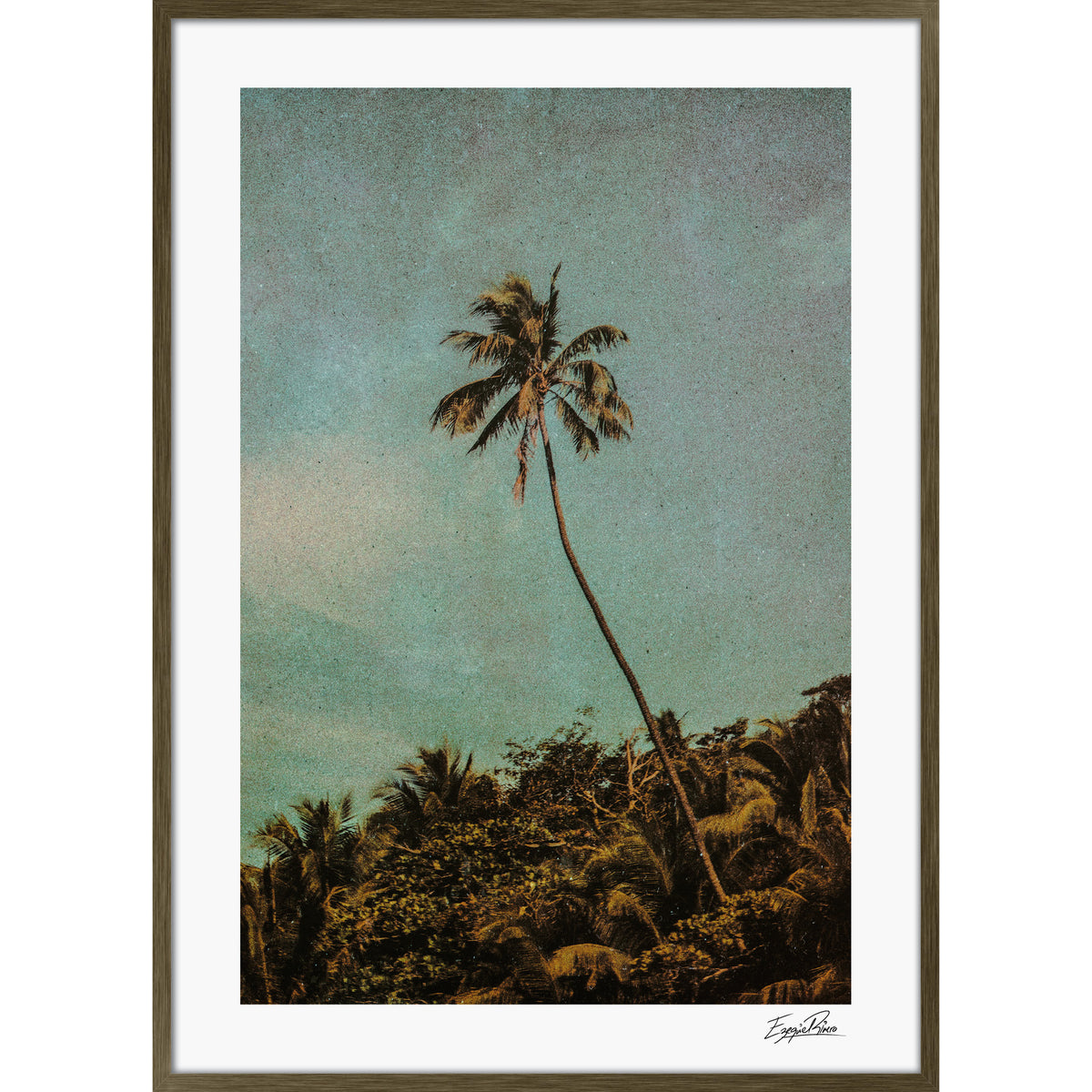 Coco Jungle