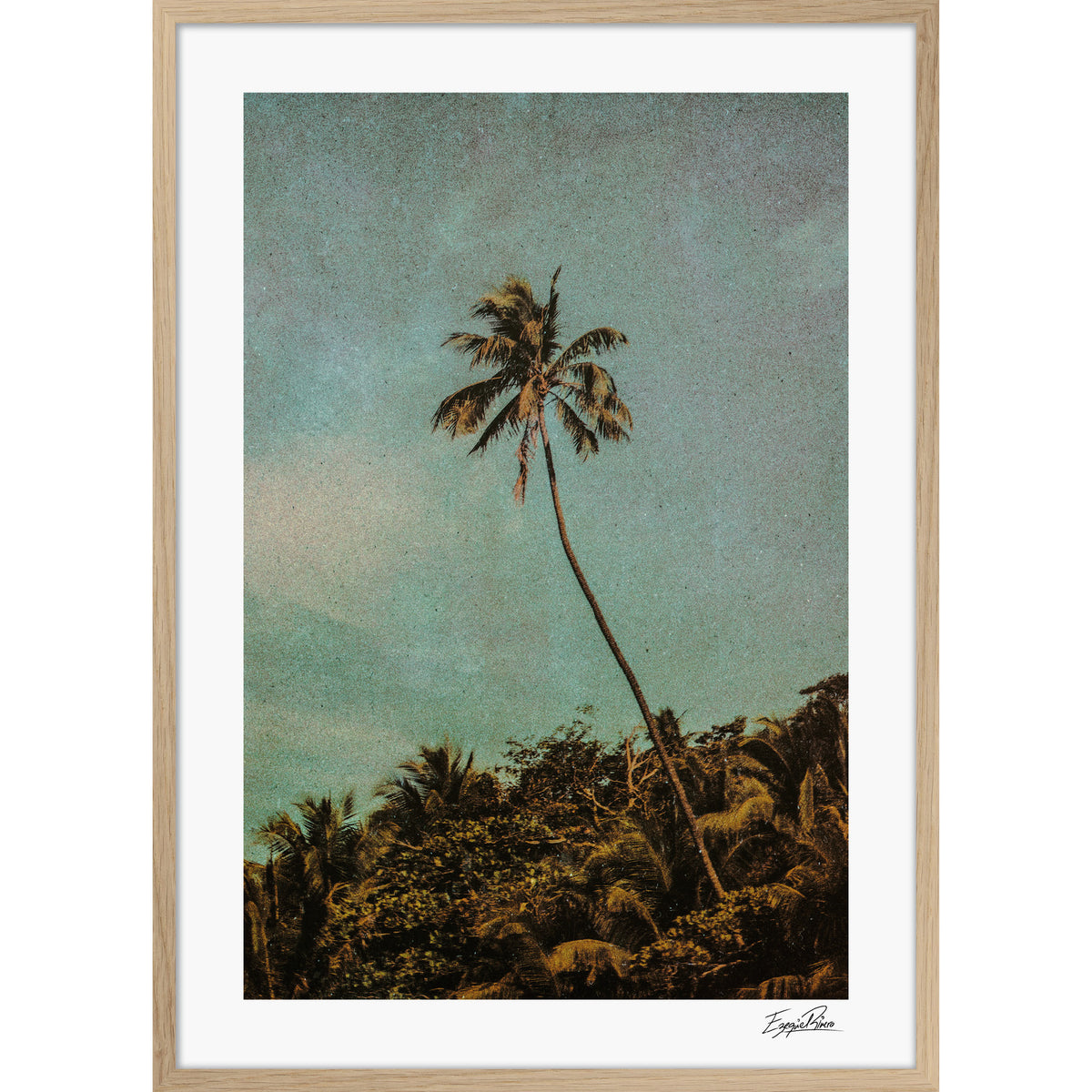 Coco Jungle