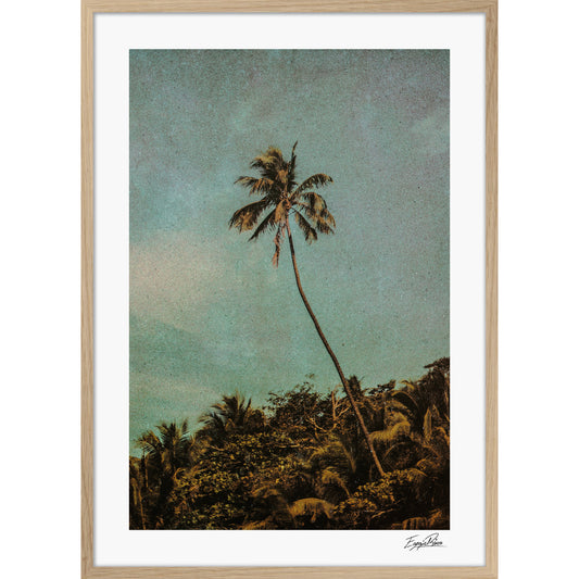 Coco Jungle